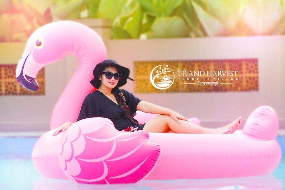 Grand Harvest Resort and Villas 10/75