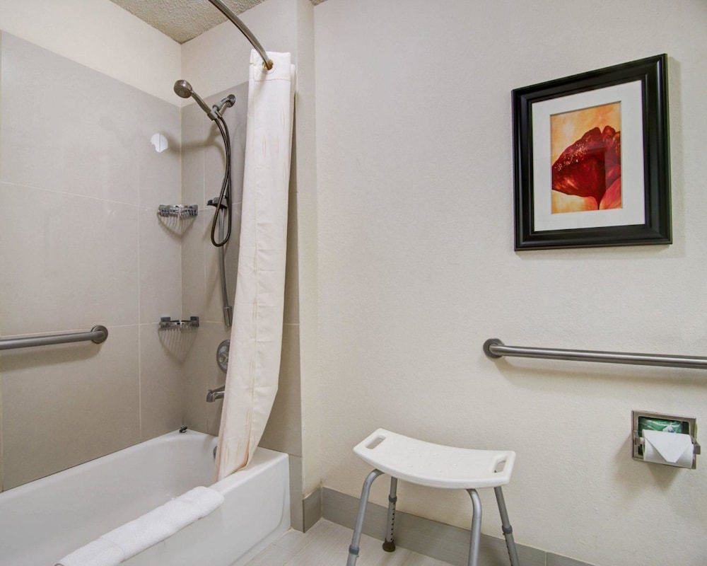 Comfort Suites Northside Hospital Gwinnett 15/47