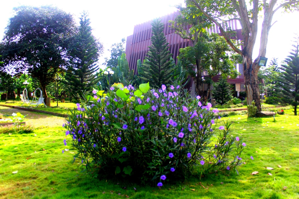 Trung Nguyen Coffee Resort 31/46