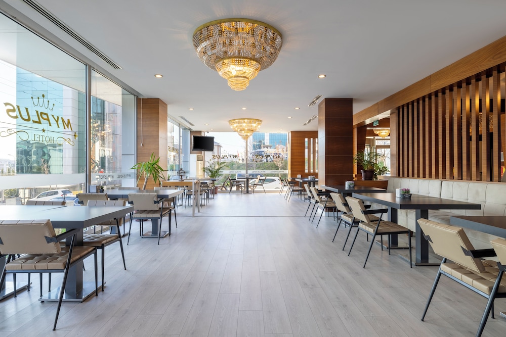 Asia Artemis Suite 34/50