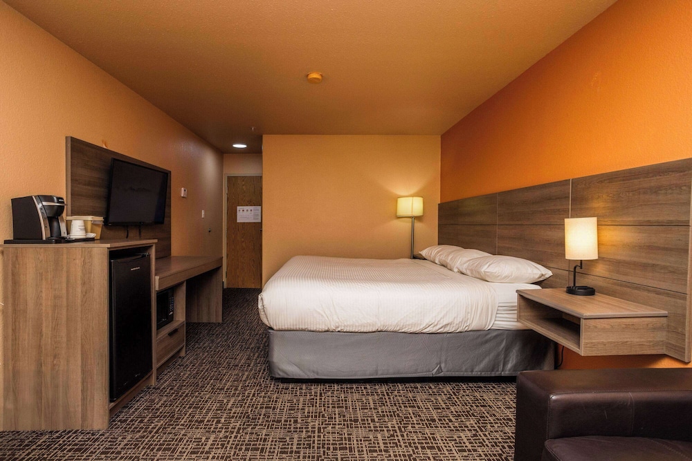 Room, Queen Bed, Accessible