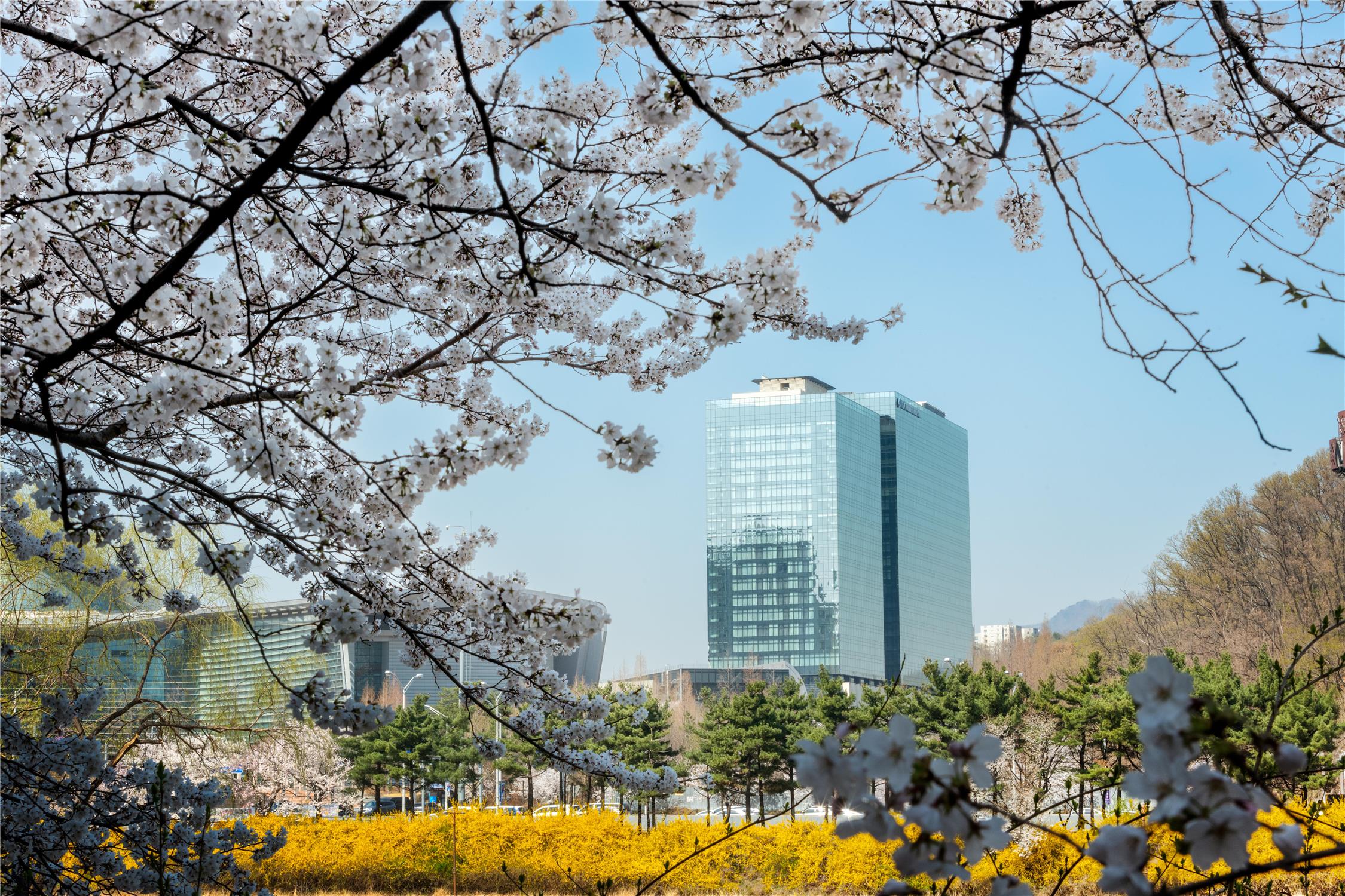 DoubleTree by Hilton Seoul Pangyo Residences in SEONGNAM