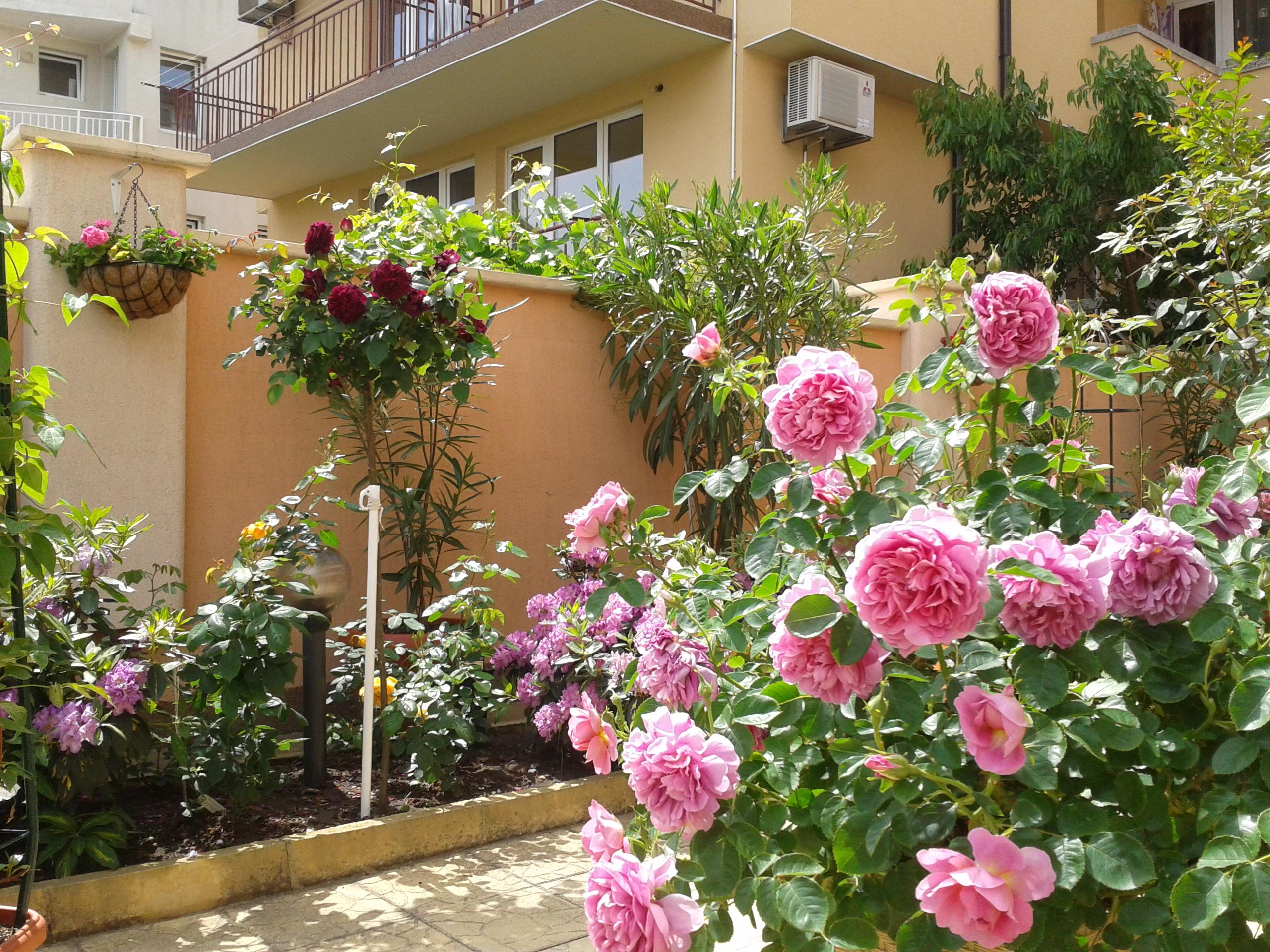 Hotel Chuchulev 42/50