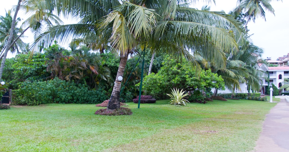 Resort Marinha Dourada 43/50