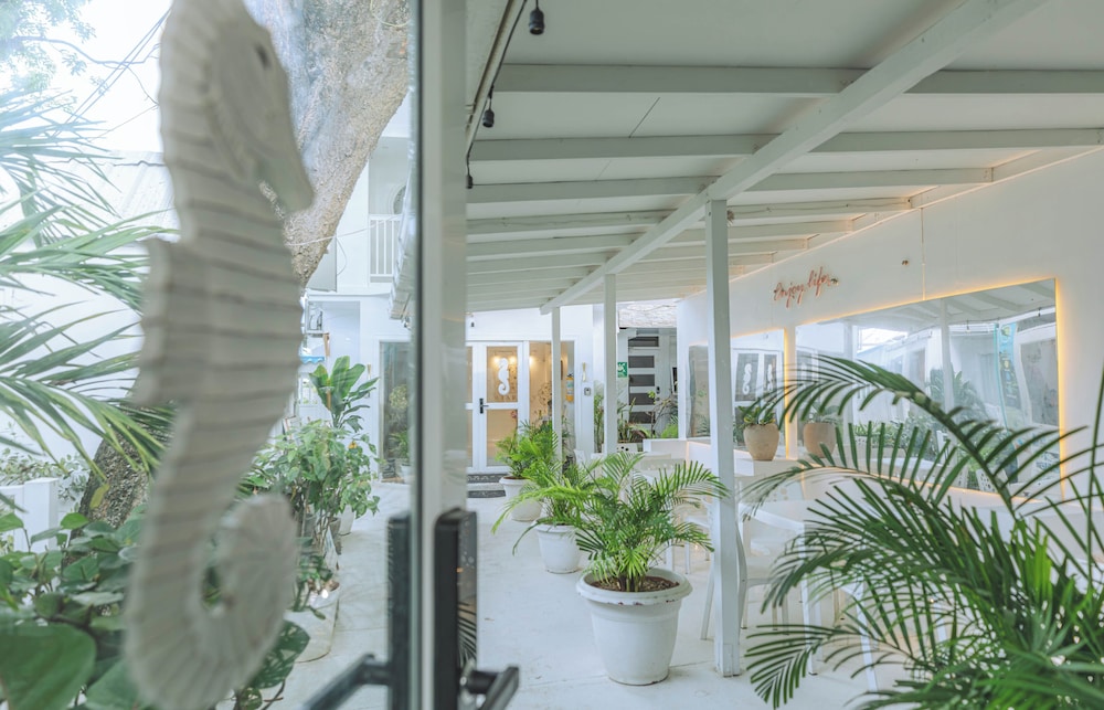 Ataraxy Hotel Boutique 4/50