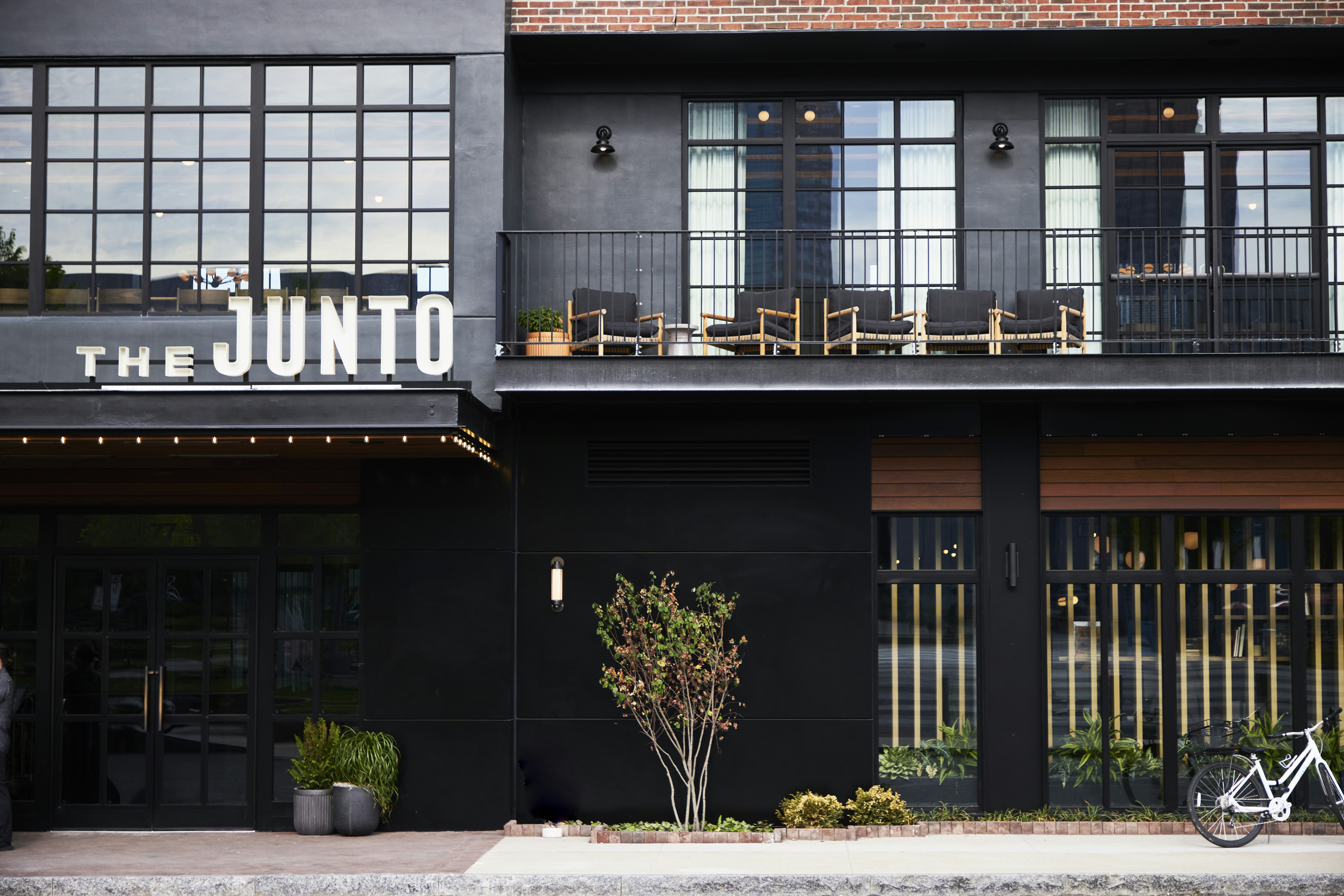 The Junto 3/50