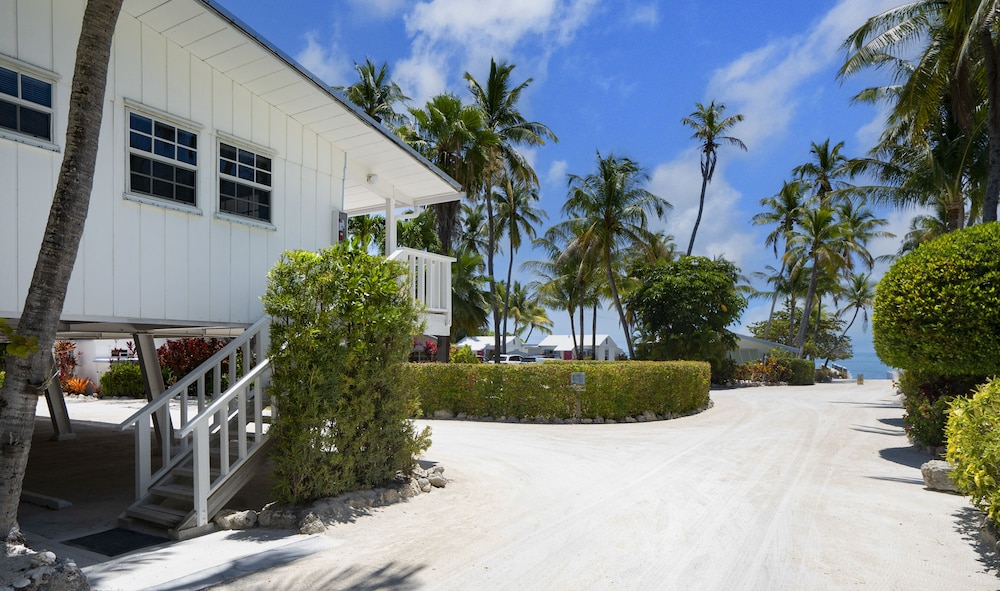 Pines Palms Resort 2/73