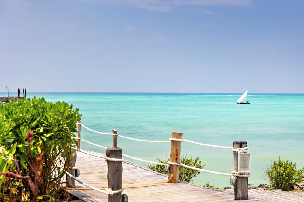 Essque Zalu Zanzibar 71/73