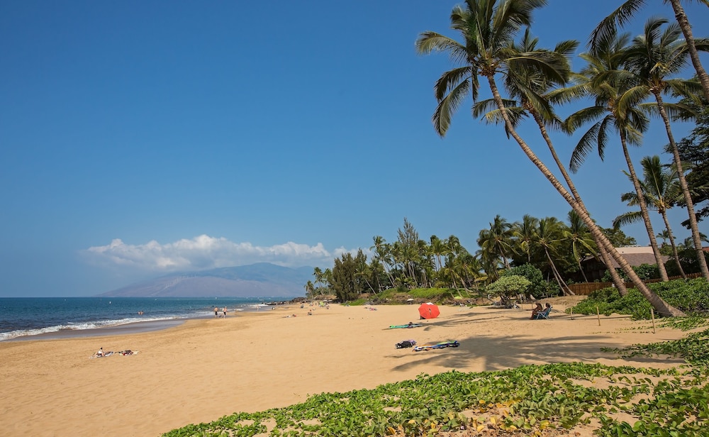 Maui Coast Hotel 60/71