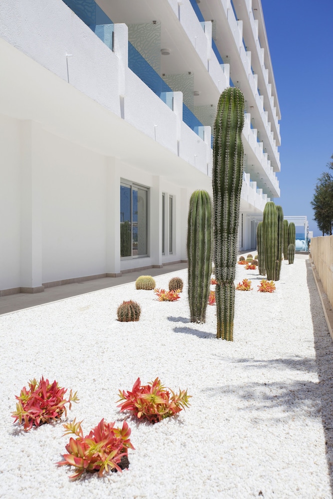 The Sea Hotel by Grupotel - Adults Only 67/70