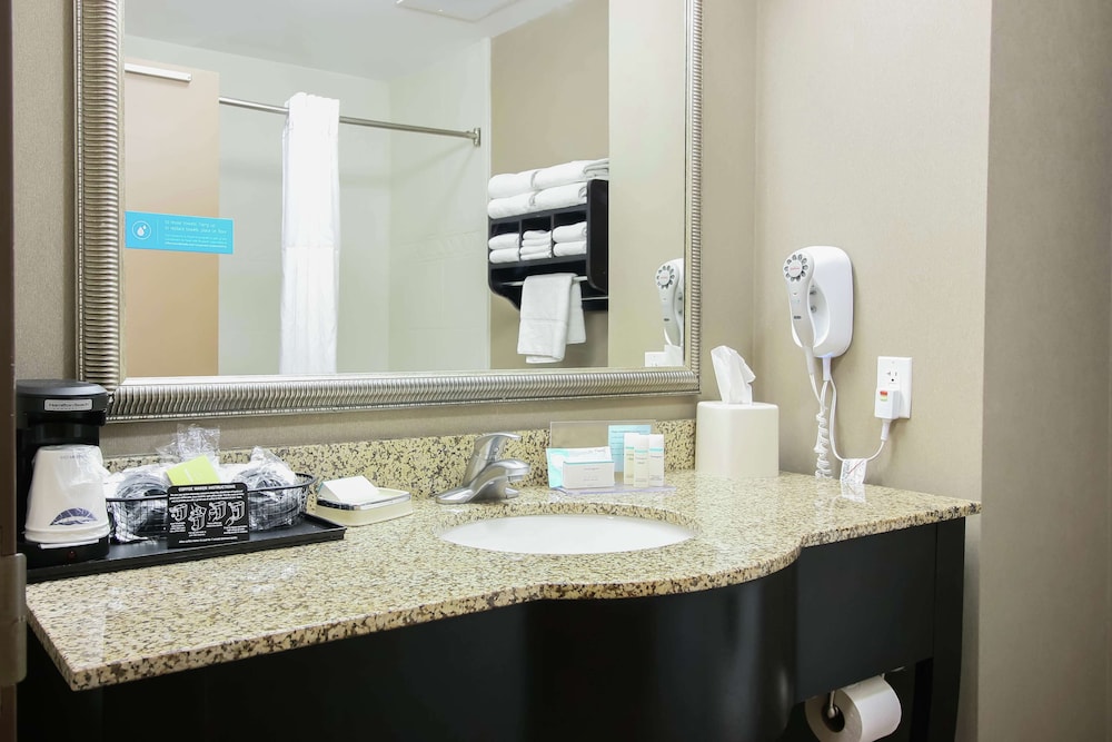 Hampton Inn And Suites Flowery Branch 29/38
