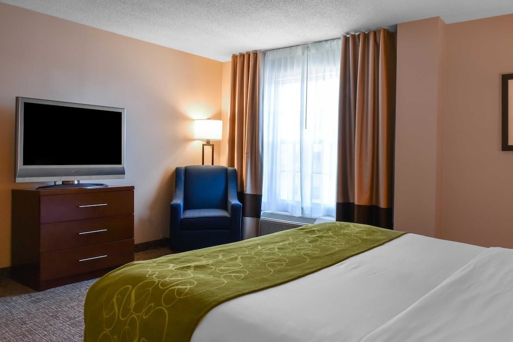 Comfort Suites Downtown Carlisle 13/37
