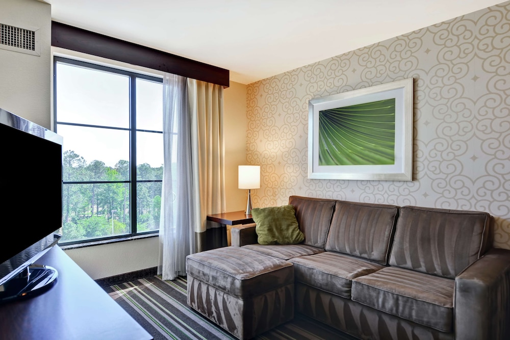 Embassy Suites By Hilton Savannah Airport 45/74