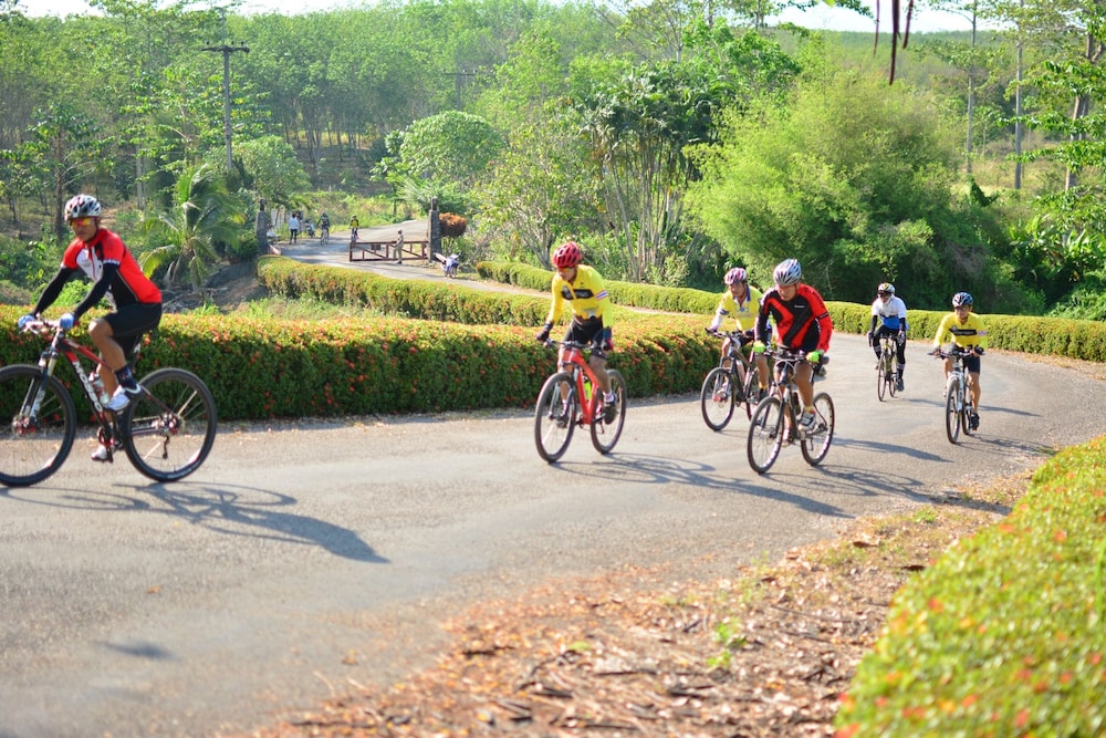 Rabbiz Hill Resort 51/58