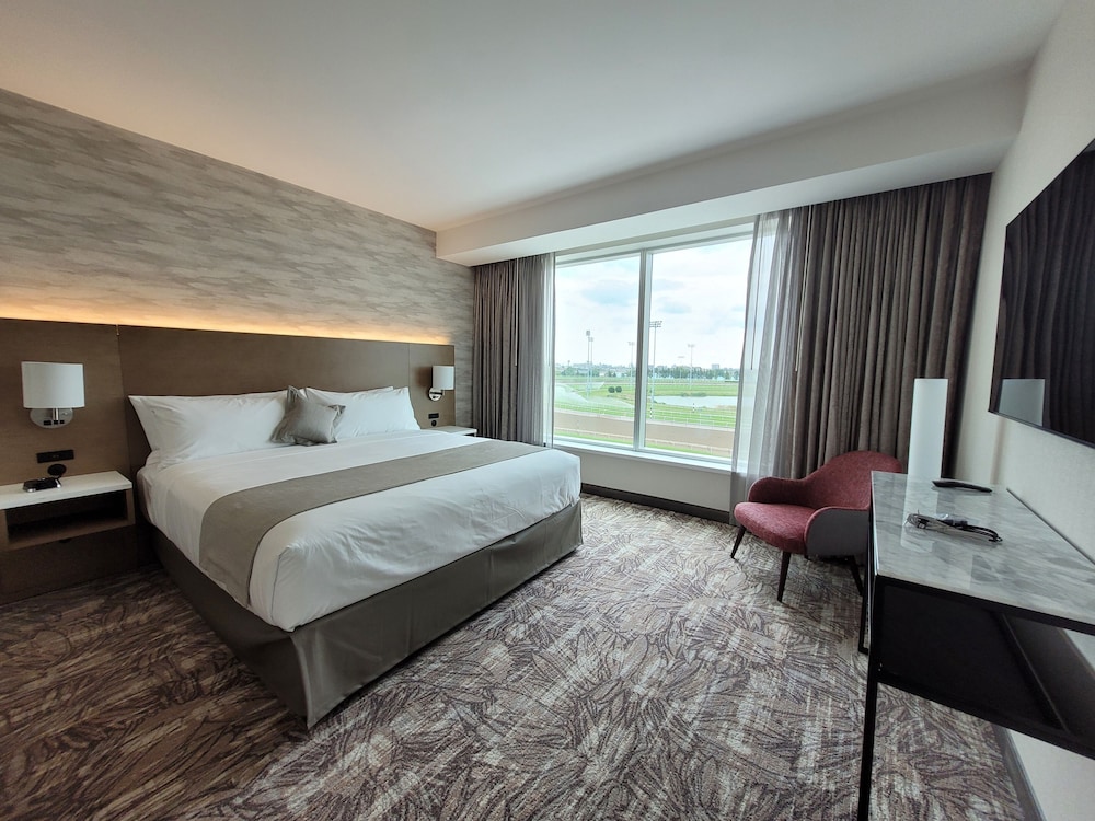 RACETRACK, KING BED, ACCESSIBLE