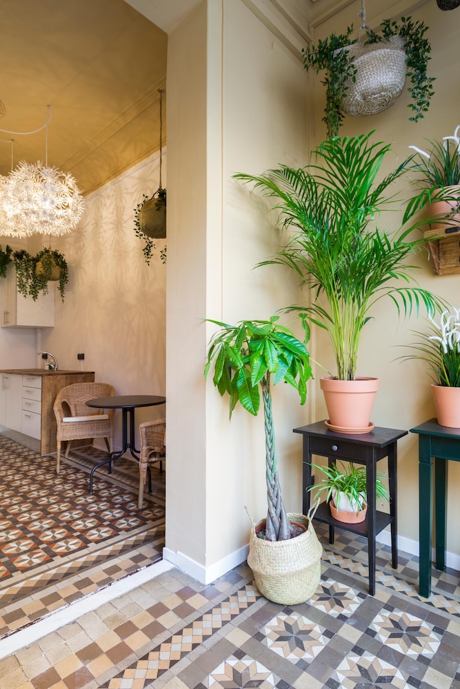 Casa Maca Guest House photo1