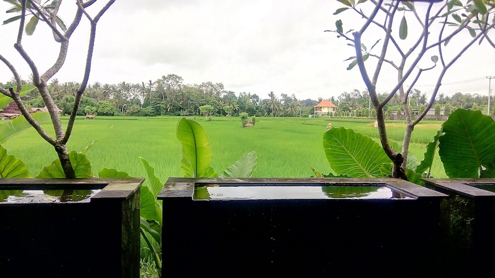 Villa Kayu Lama 39/50