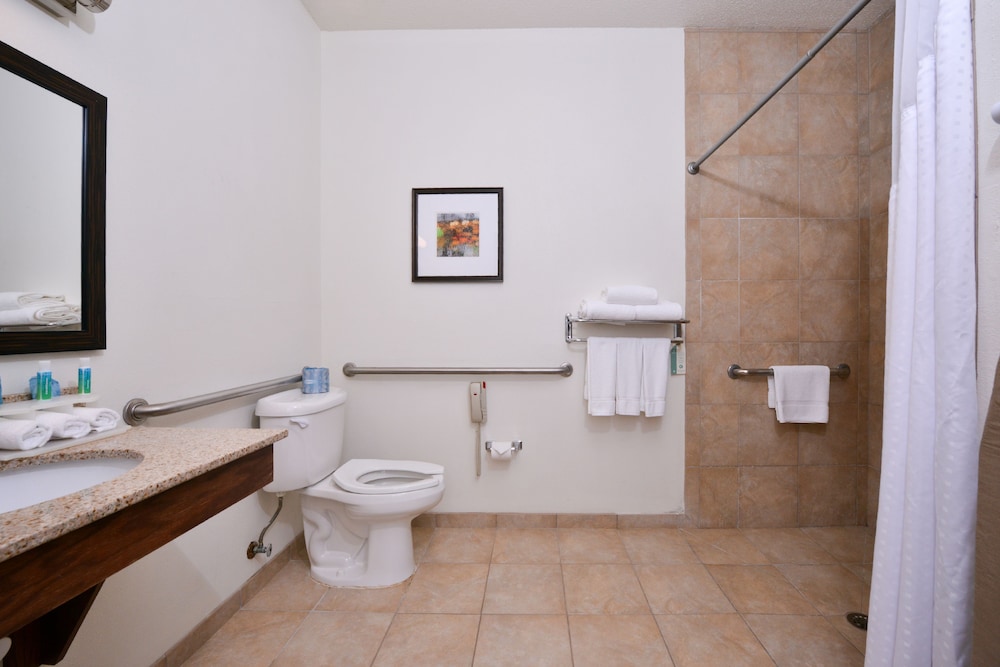 Holiday Inn Express Hotel And Suites Lancaster Lititz 23/73