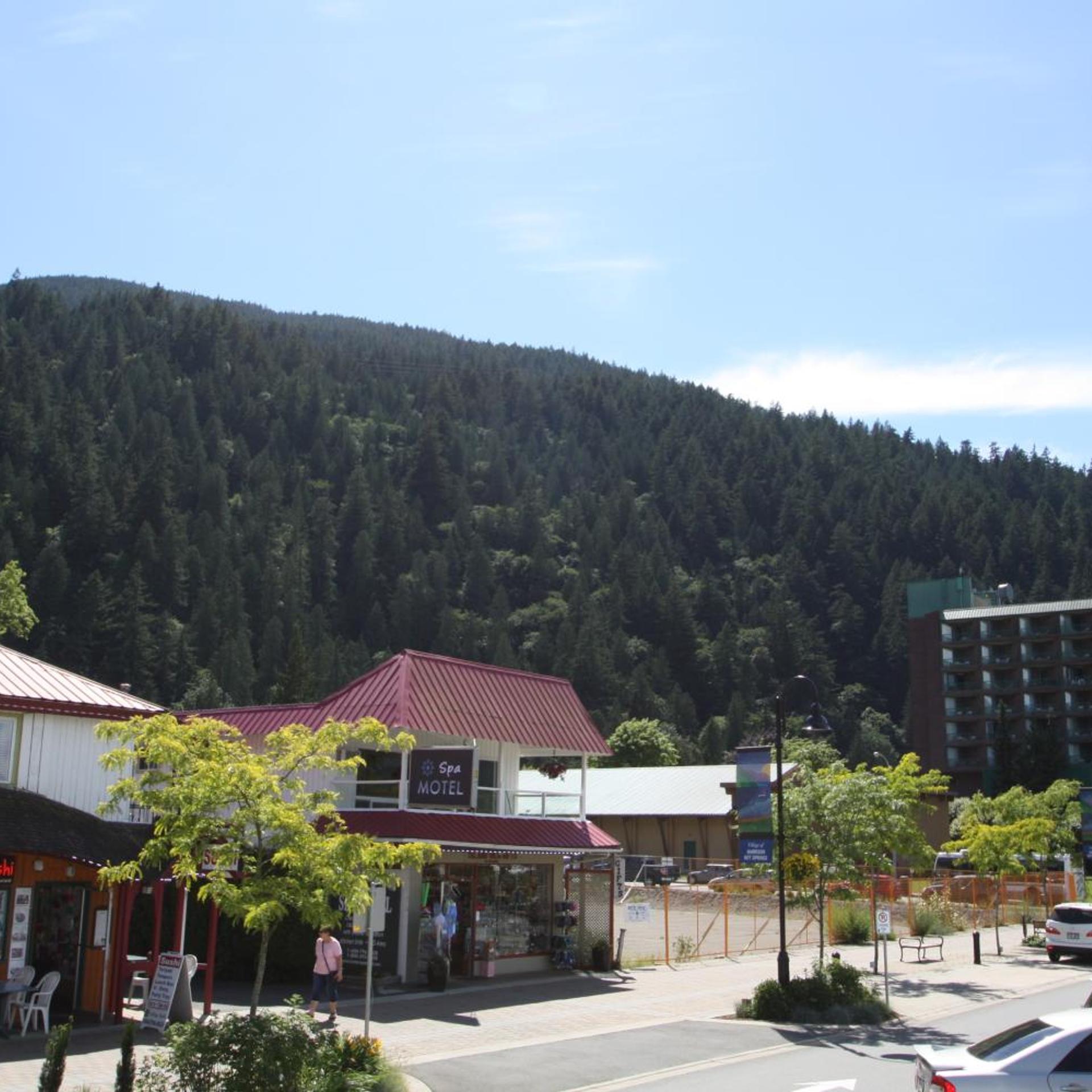 Harrison Spa Motel 3/32