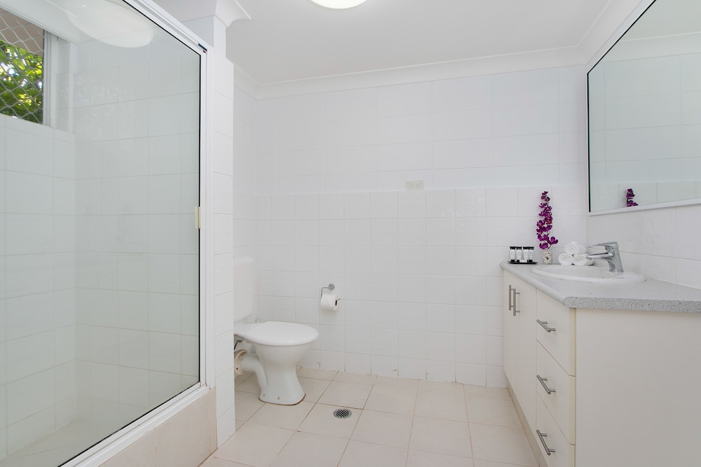 CAIRNS CITY PALMS 58/59