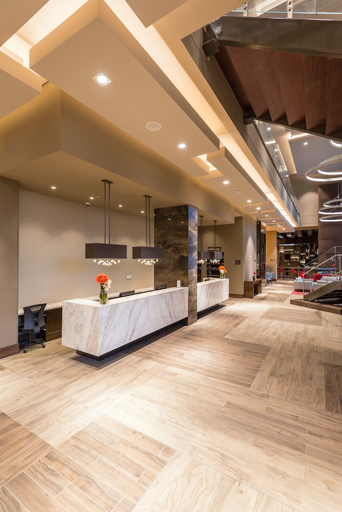 希尔顿花园酒店Bogota机场(Hilton Garden Inn Bogota Airport) 图片3