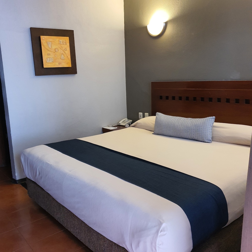 غرفة اقتصادية بسرير كينج، Hotel Panamerican 2/3