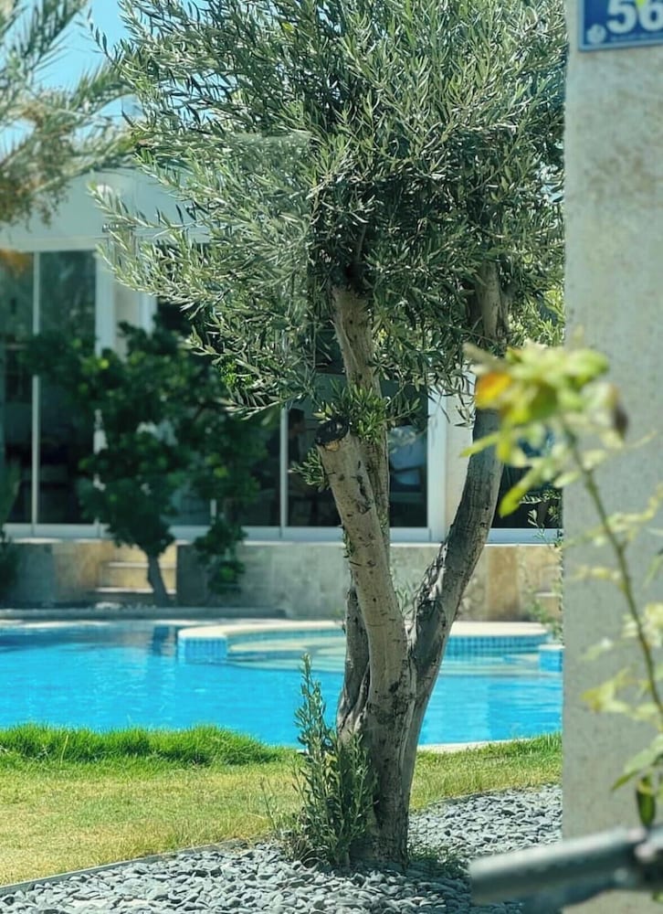 Lale Lodge Hotel 40/43
