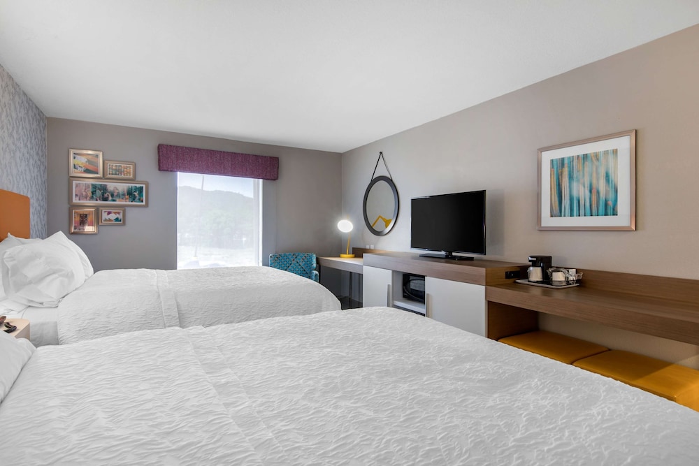 Hampton Inn and Suites Ruidoso Downs 18/37