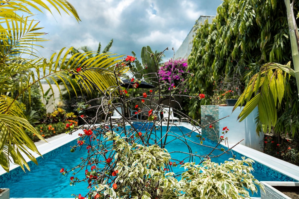 Villa Jaddis 37/50