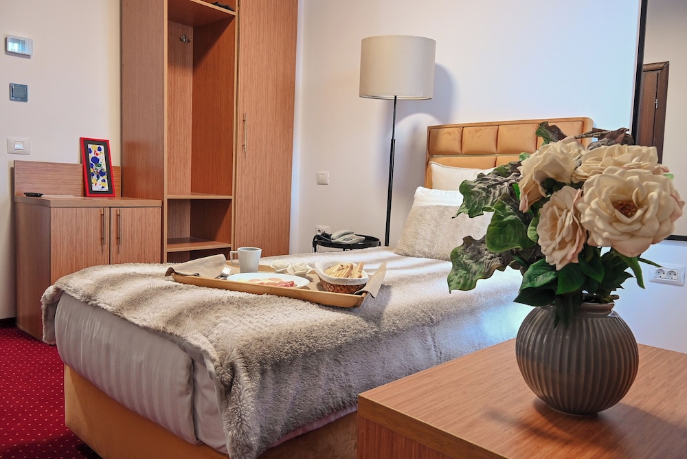 Bucharest Aiport Hotel 6/18