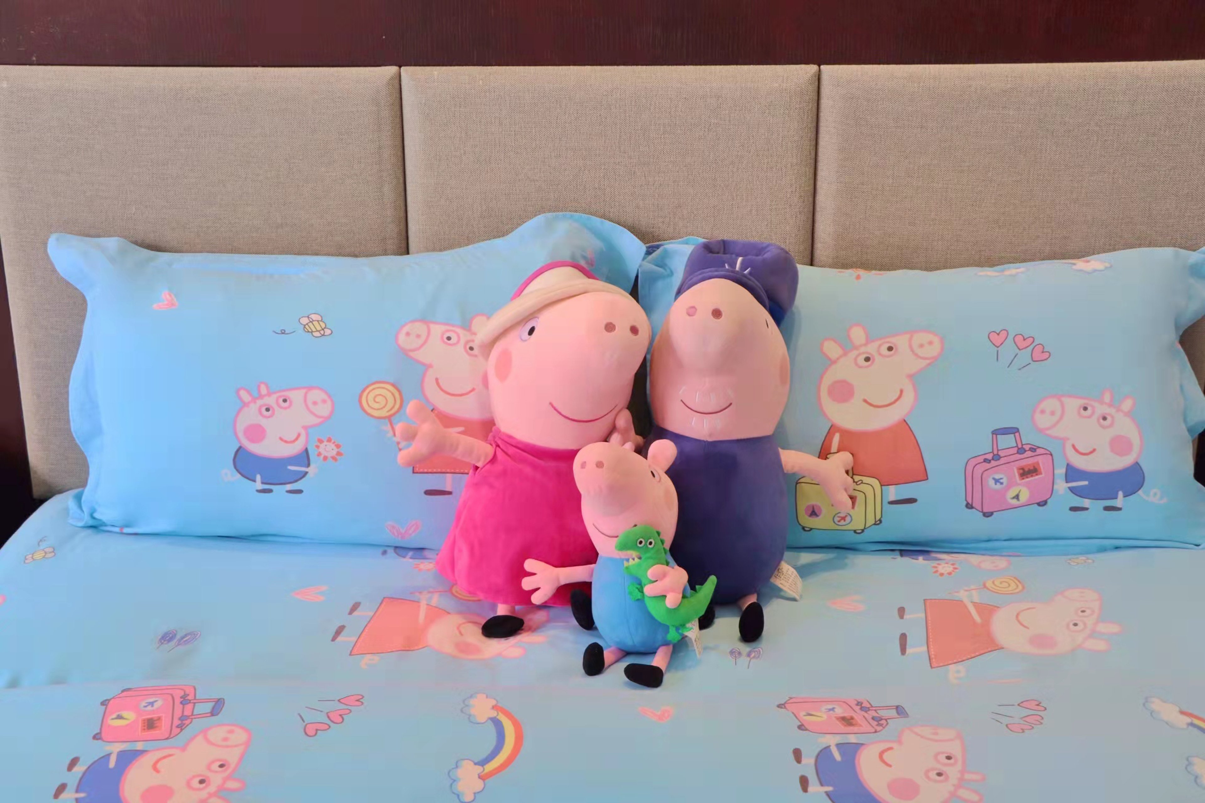 HOLIDAY INN EXPRESS CHENGDU WUHOU 46/48