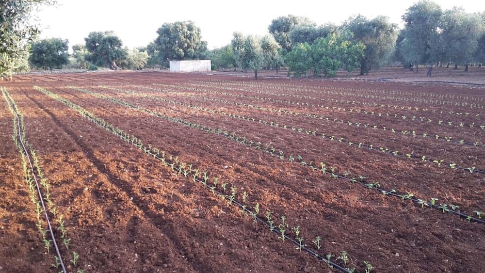 Masseria San Martino 27/57
