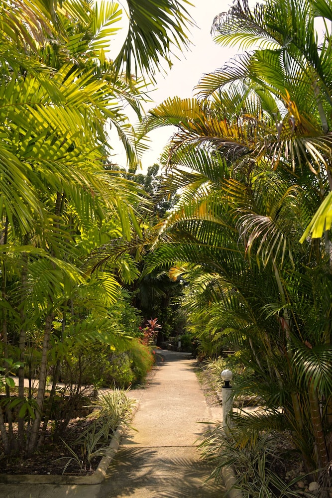 Marcosas Cottages Resort 53/68