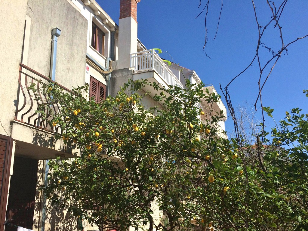 APARTMENTS IVANKA 23/26