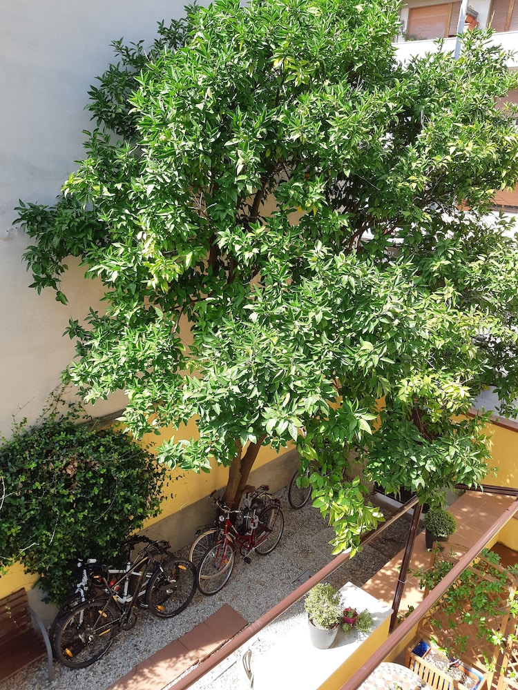 L'Aranceto Guest House 41/50