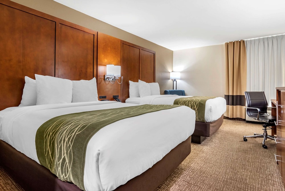 STANDARD, 2 QUEEN BEDS