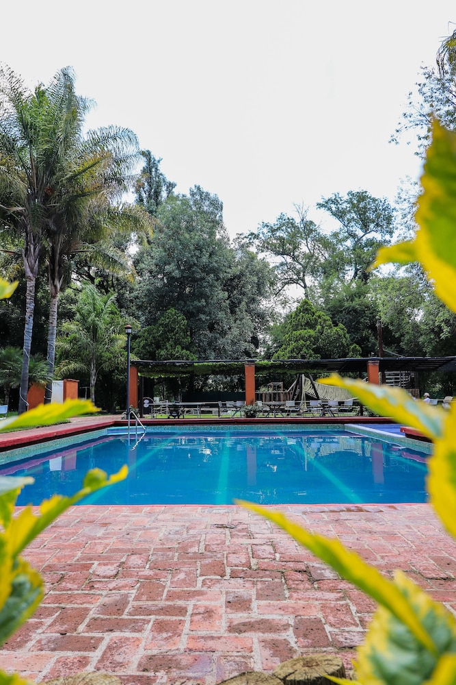 El Marques Hacienda 62/71