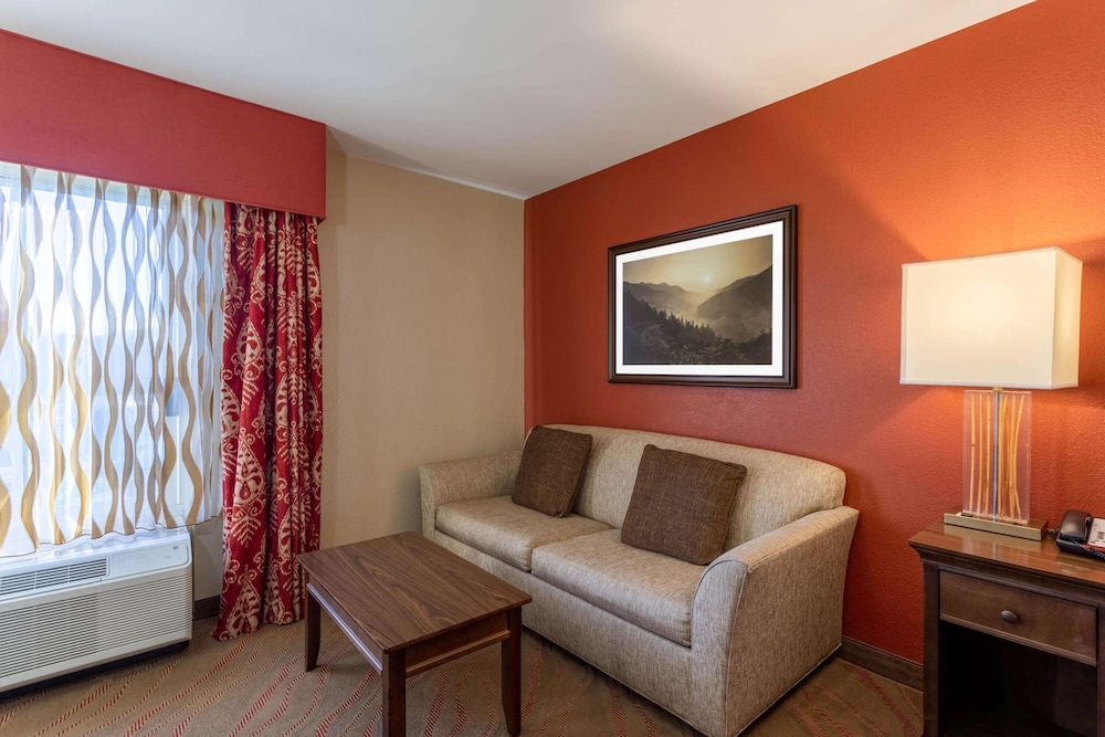 La Quinta Inn Suites Pigeon Forge 44/64
