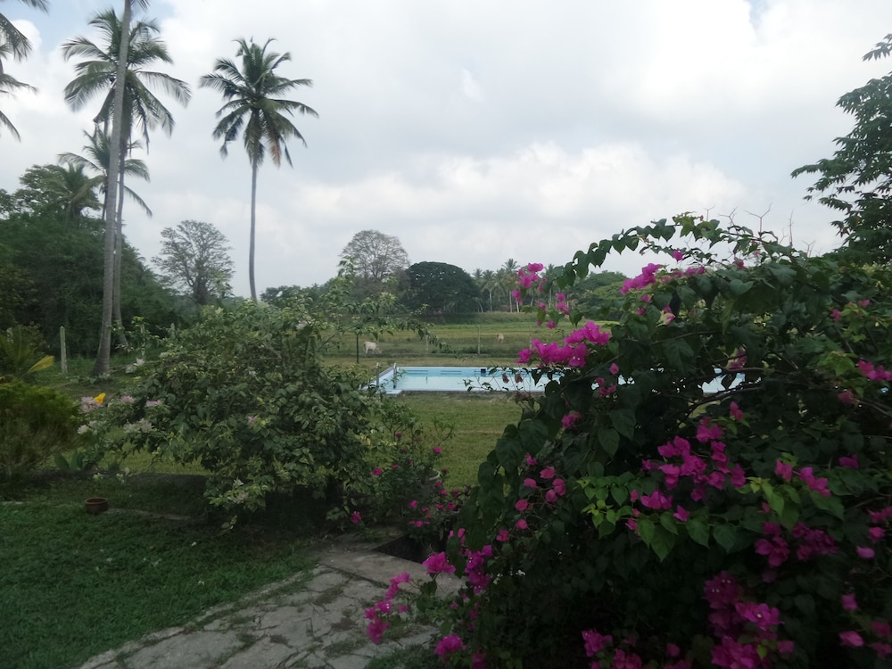 Cocoworld Bungalow 28/50
