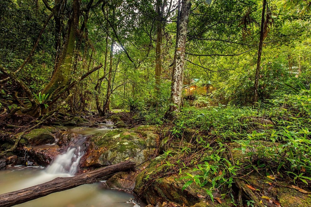NARROWS ESCAPE RAINFOREST RETREAT 33/50