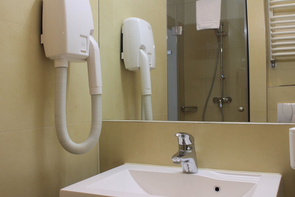 Hotel Desilva Inn Katowice Airport 9/38
