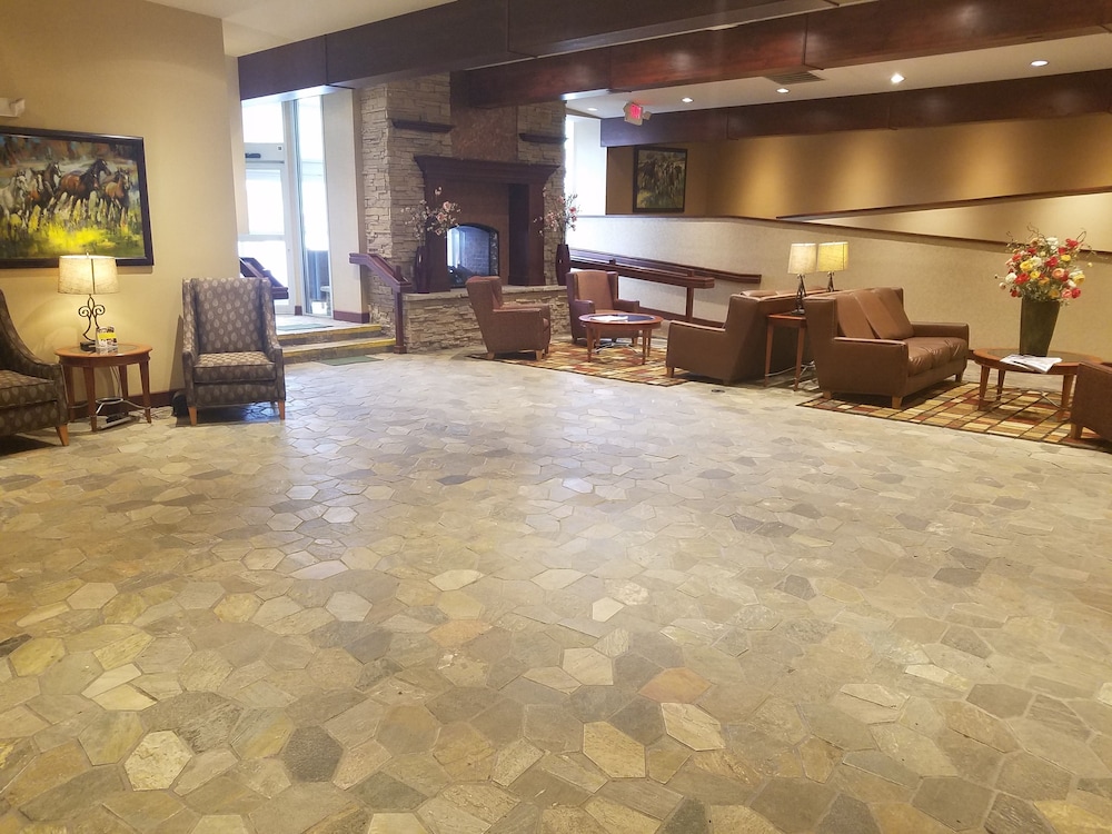 Holiday Inn Friso by IHG 8/68