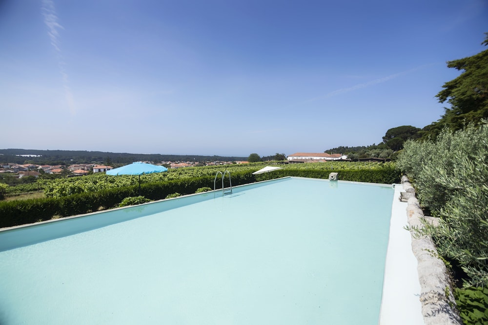 Quinta Do Paco D Anha 31/67