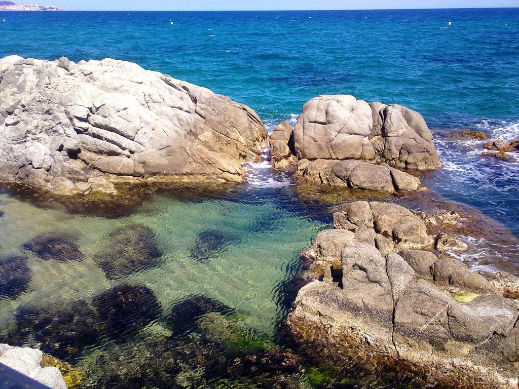 Hotel Cap Roig by Brava Hoteles 38/50