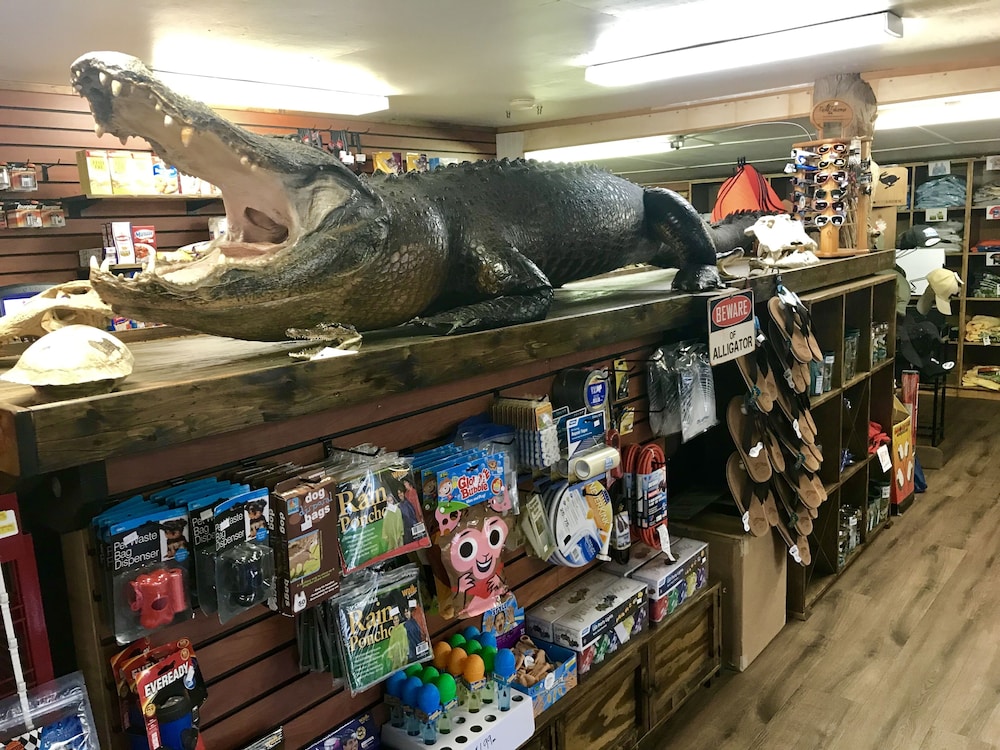 Guy Harvey Camp Mack Lodge & RV Resort 35/50
