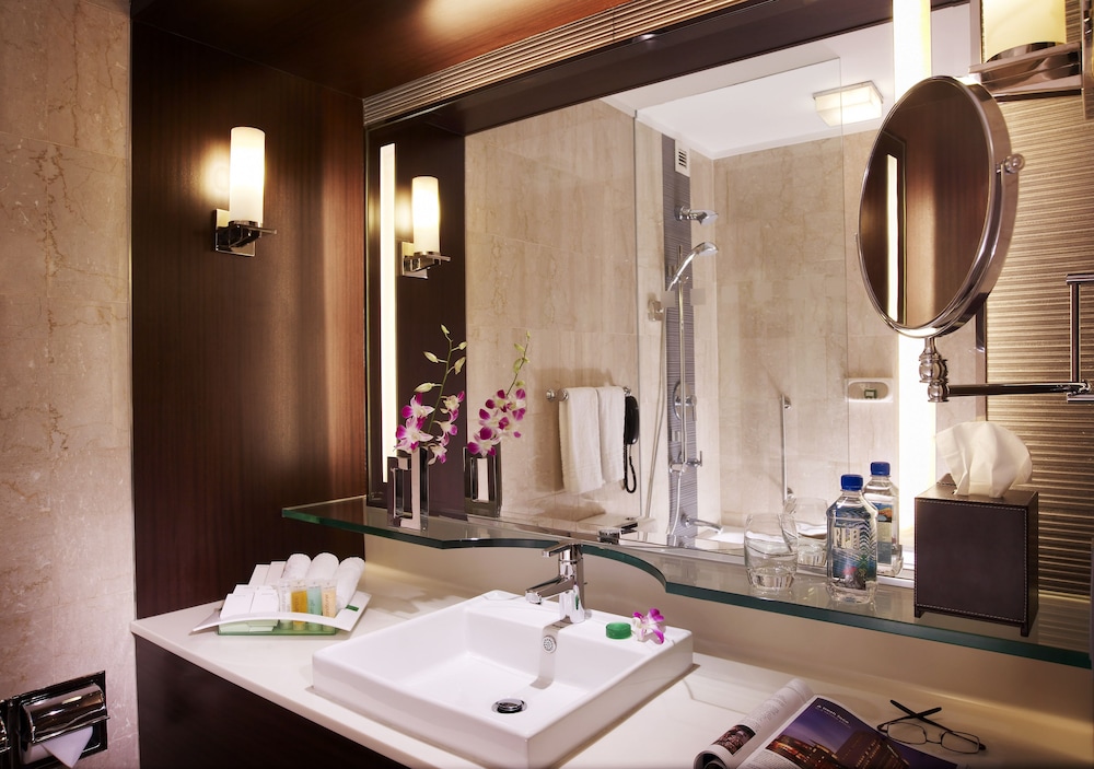 Holiday Inn Singapore Orchard City Centre 33/73