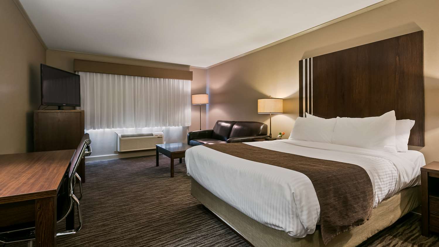 Room, Queen Bed, Sofa