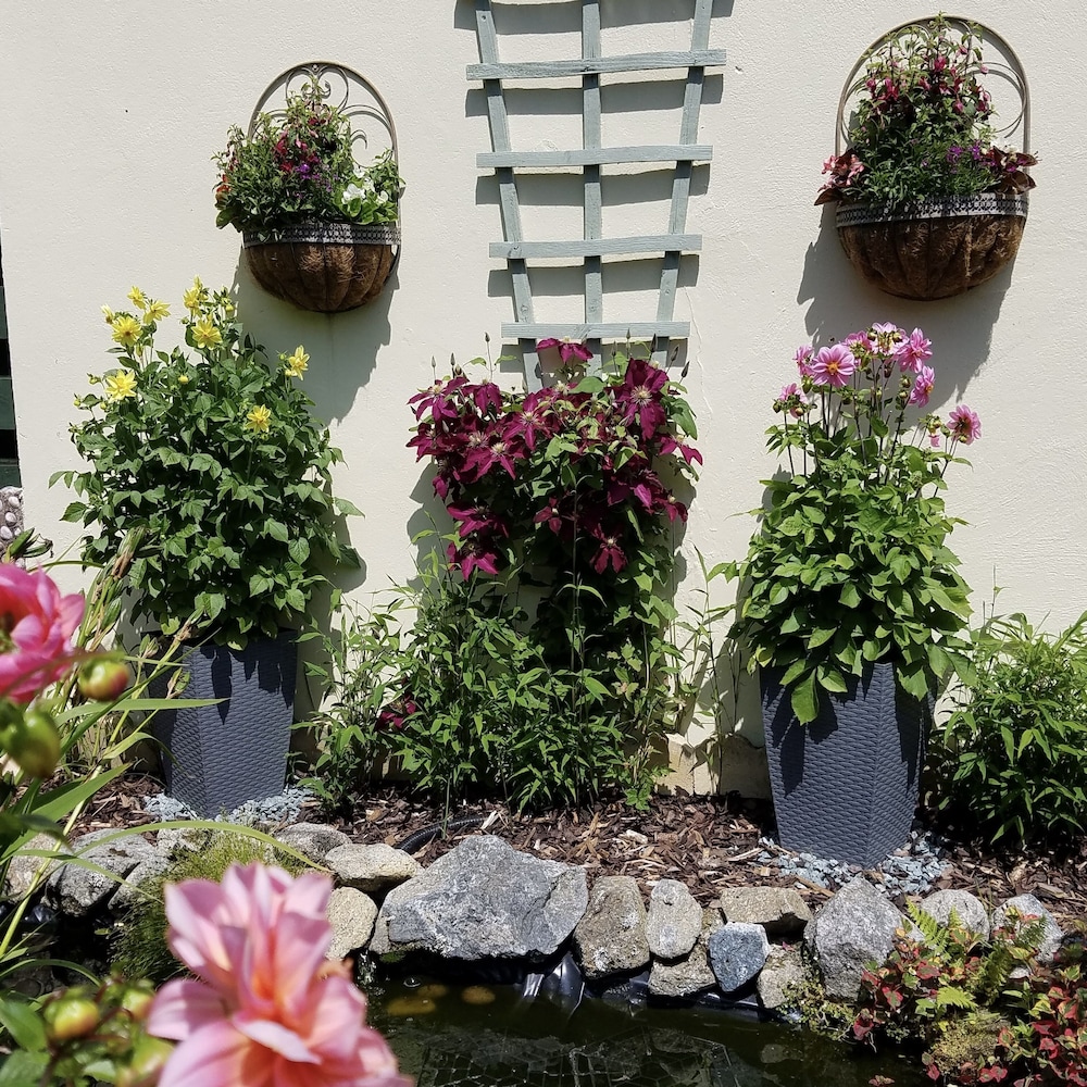 Eden's Rest Bed & Breakfast 29/36