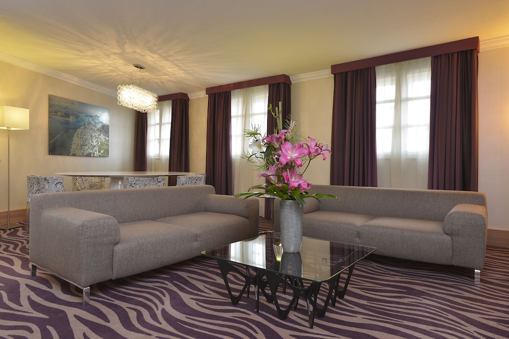 Plaza Hotel Capitole Toulouse 37/64