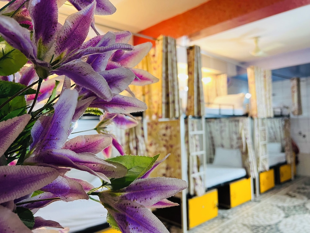 Hotel Moon Light Palace Jaipur 7/73